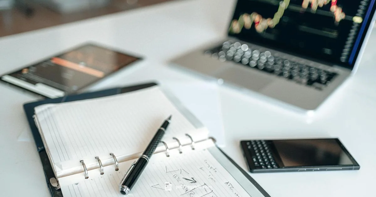 Split & Merge PDFs Free - PDF File Guide