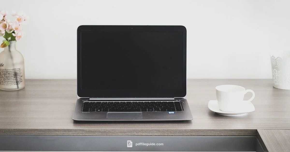 Free PDF Conversions Free PDF Conversions - PDF File Guide