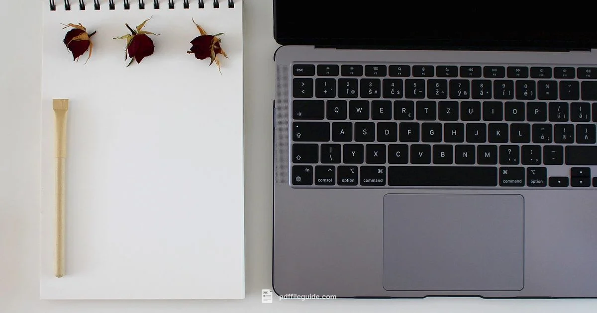 PDF to PPT Guide - PDF File Guide