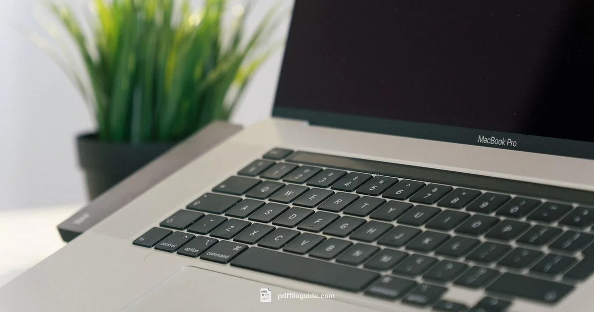 Edit PDFs Online - PDF File Guide