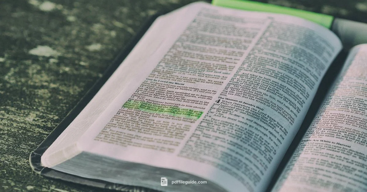 Who Is Jesus PDF Who Is Jesus PDF - PDF File Guide