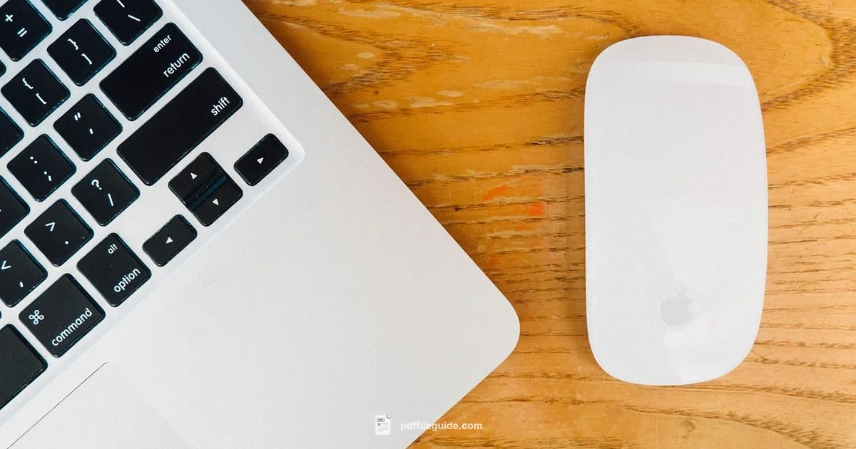 Compress PDFs on Mac - PDF File Guide