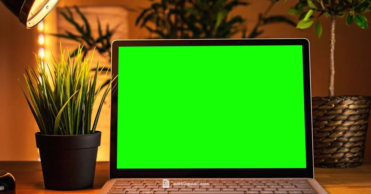 Picture to PDF - PDF File Guide