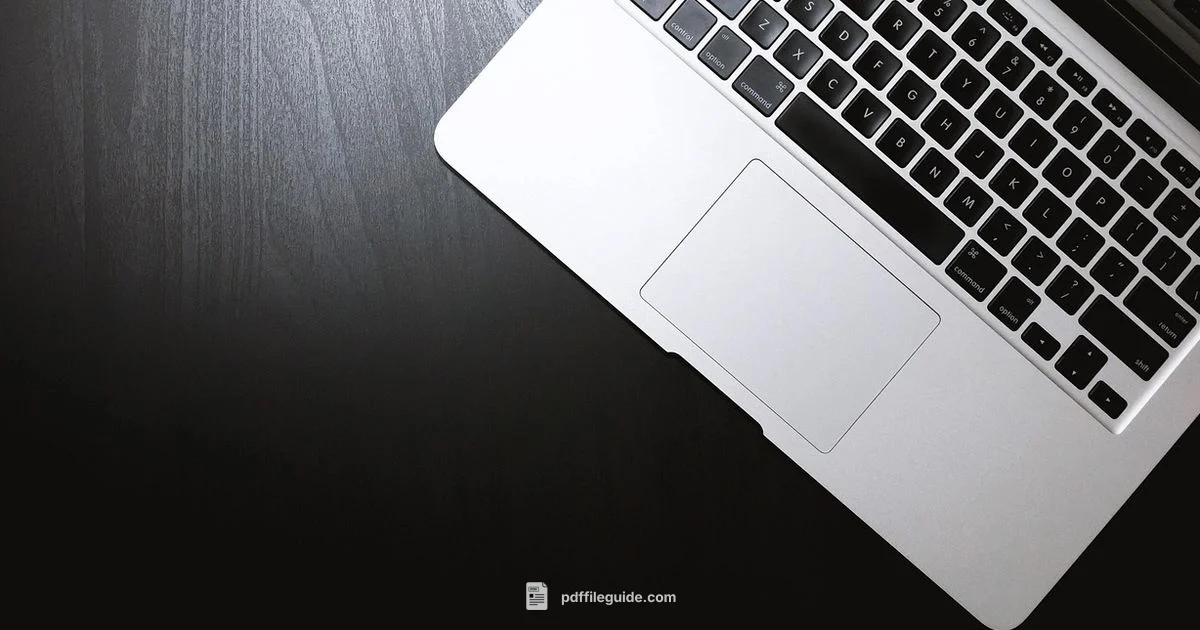 PDF Adoption Timeline - PDF File Guide