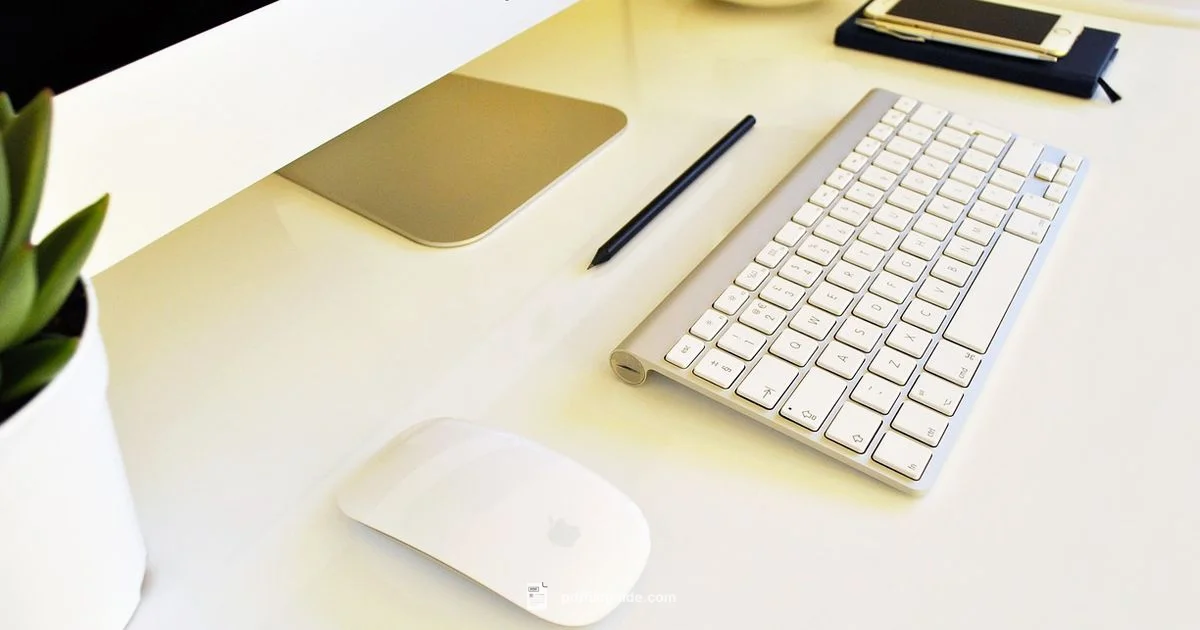 Convert iPage to PDF - PDF File Guide