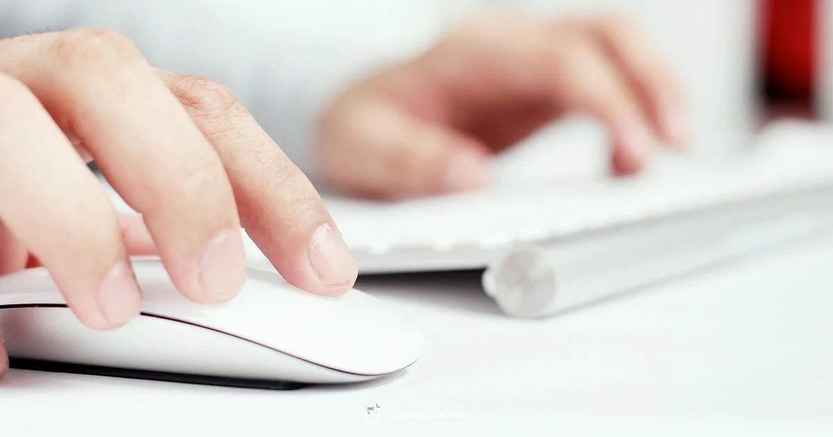 W2 PDF Workflows W2 PDF Workflows - PDF File Guide