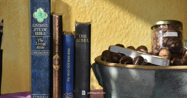 Quran PDF English - PDF File Guide