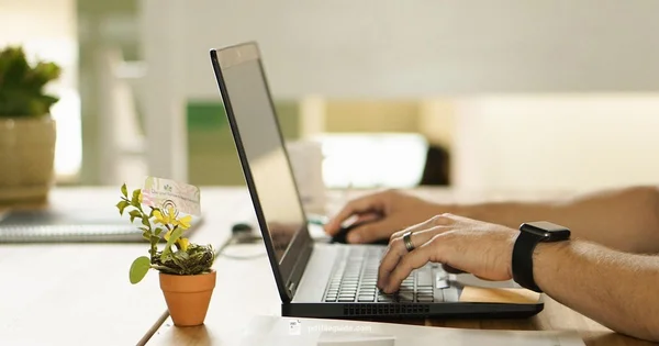 PDF to Document - PDF File Guide