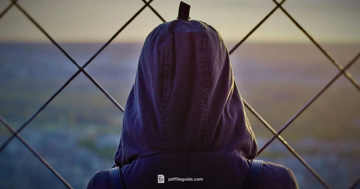 Declaration PDF Guide - PDF File Guide