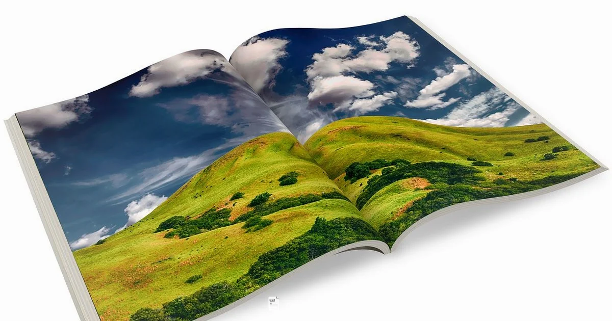 Accessible PDF Guide - PDF File Guide