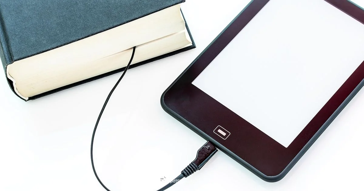 EPUB Conversion - PDF File Guide