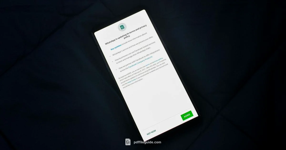 PDF App Safety PDF App Safety - PDF File Guide