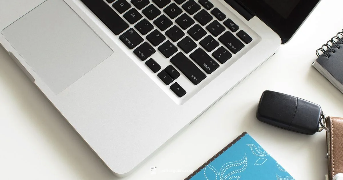 Top PDF Editor Picks - PDF File Guide