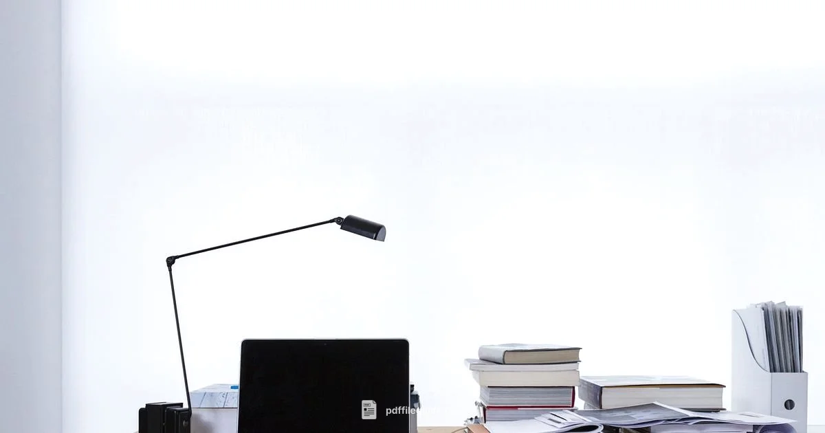 PDF vs PNG - PDF File Guide