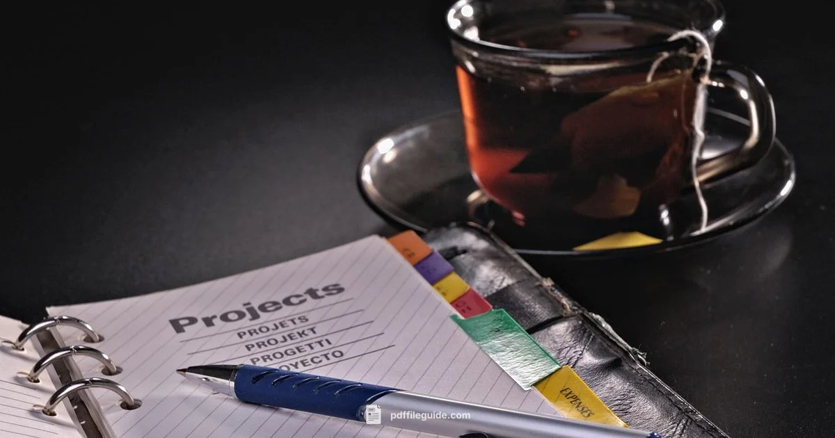 Open to PDF - PDF File Guide