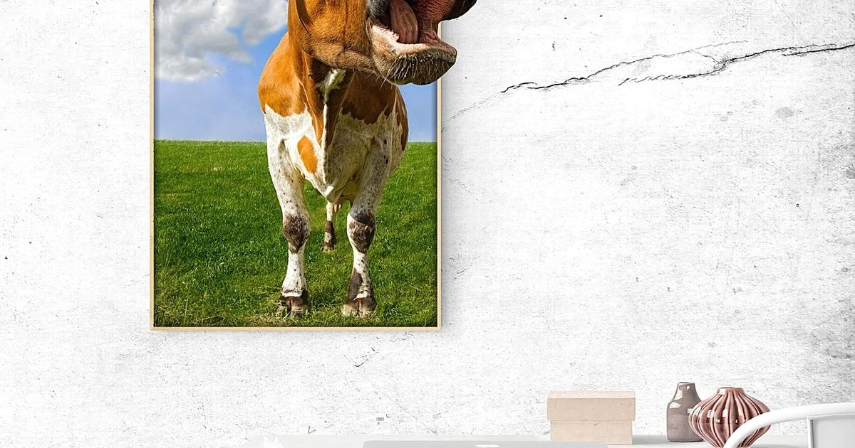 PDF Transformation PDF Transformation - PDF File Guide