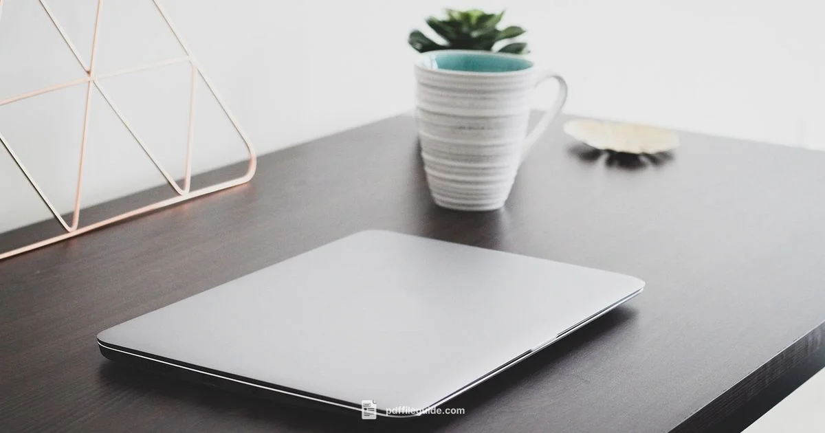 PDF vs PDF/A - PDF File Guide