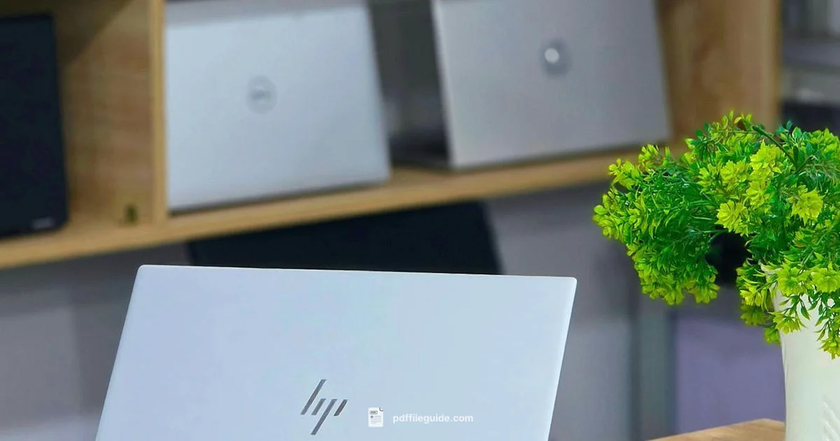 PDF Malware Risk PDF Malware Risk - PDF File Guide