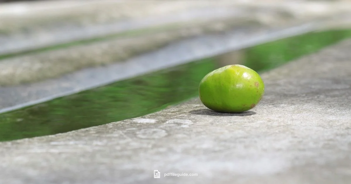 From Images to PDF From Images to PDF - PDF File Guide