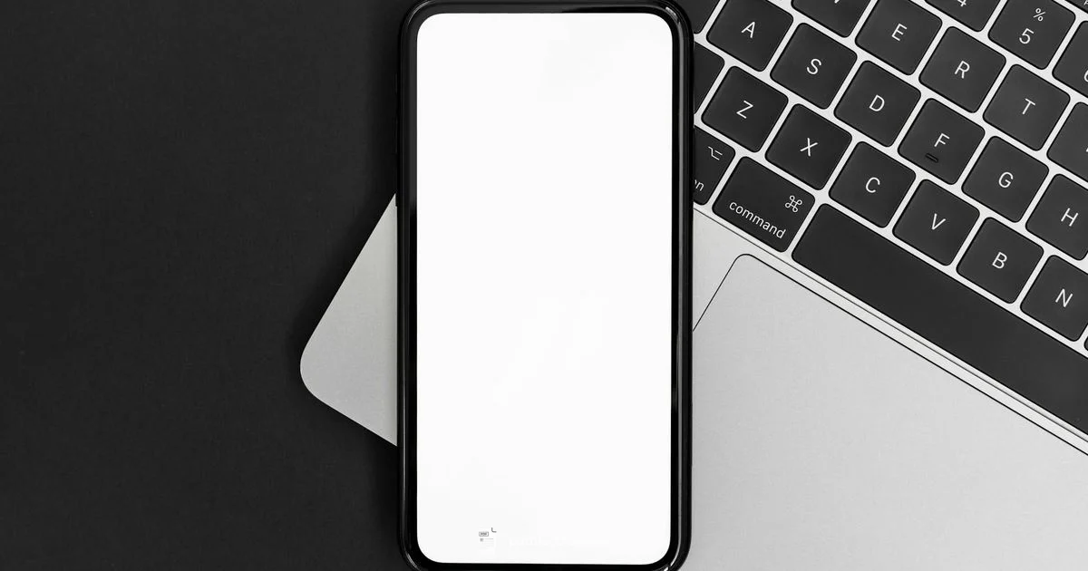 PDF to Word Workflow - PDF File Guide