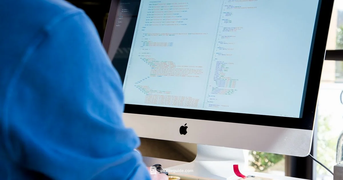 Fillable PDF Forms - PDF File Guide