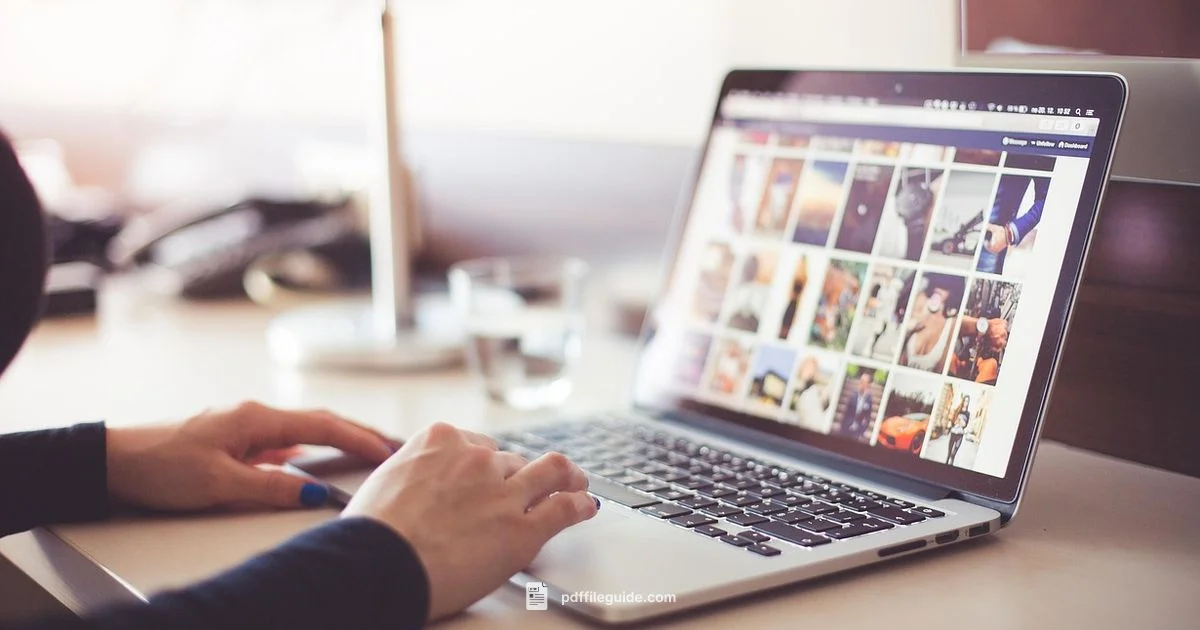 Check PDF Locks - PDF File Guide