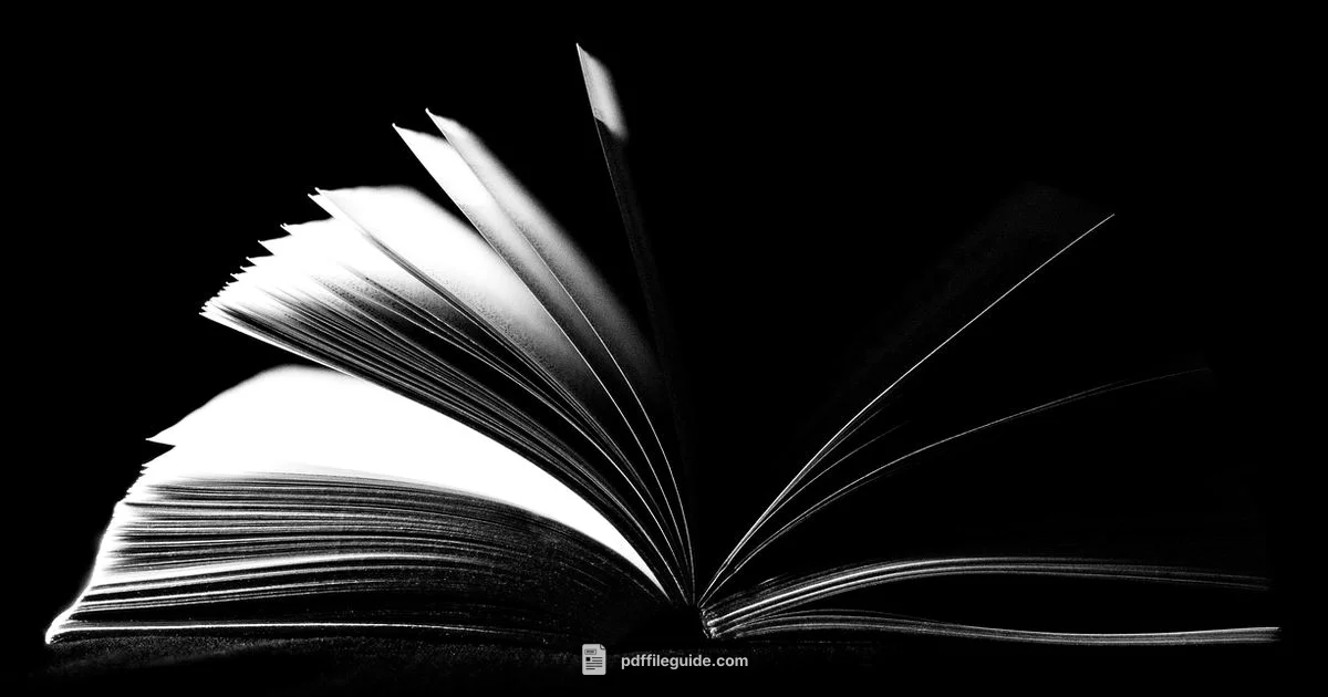 Free Textbooks PDF - PDF File Guide