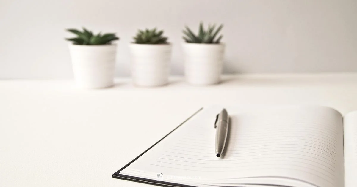 Open a PDF Open a PDF - PDF File Guide