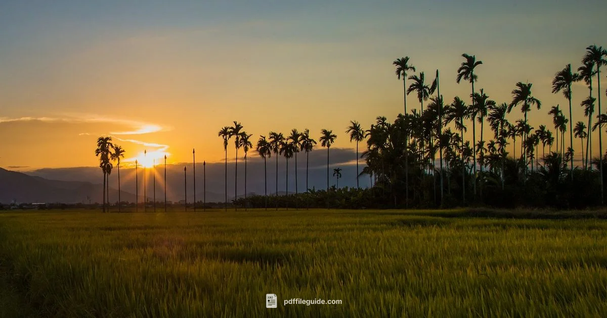 PDF Open Behavior - PDF File Guide