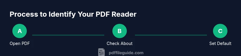 Process flow to identify PDF reader on a device