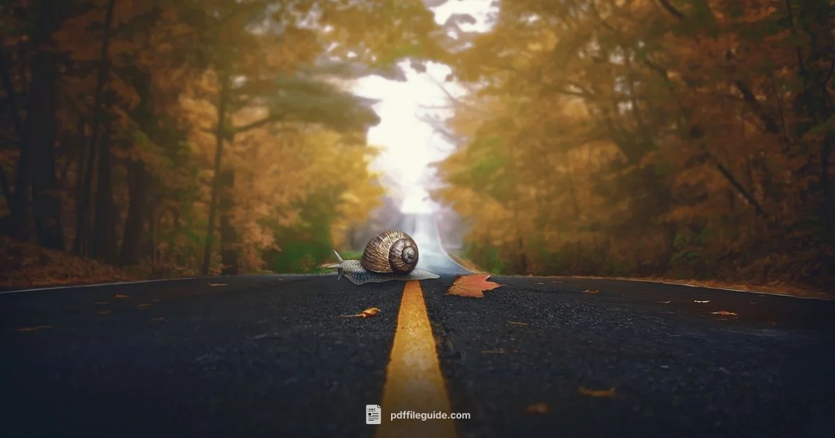 Remove Text Box Outline Remove Text Box Outline - PDF File Guide