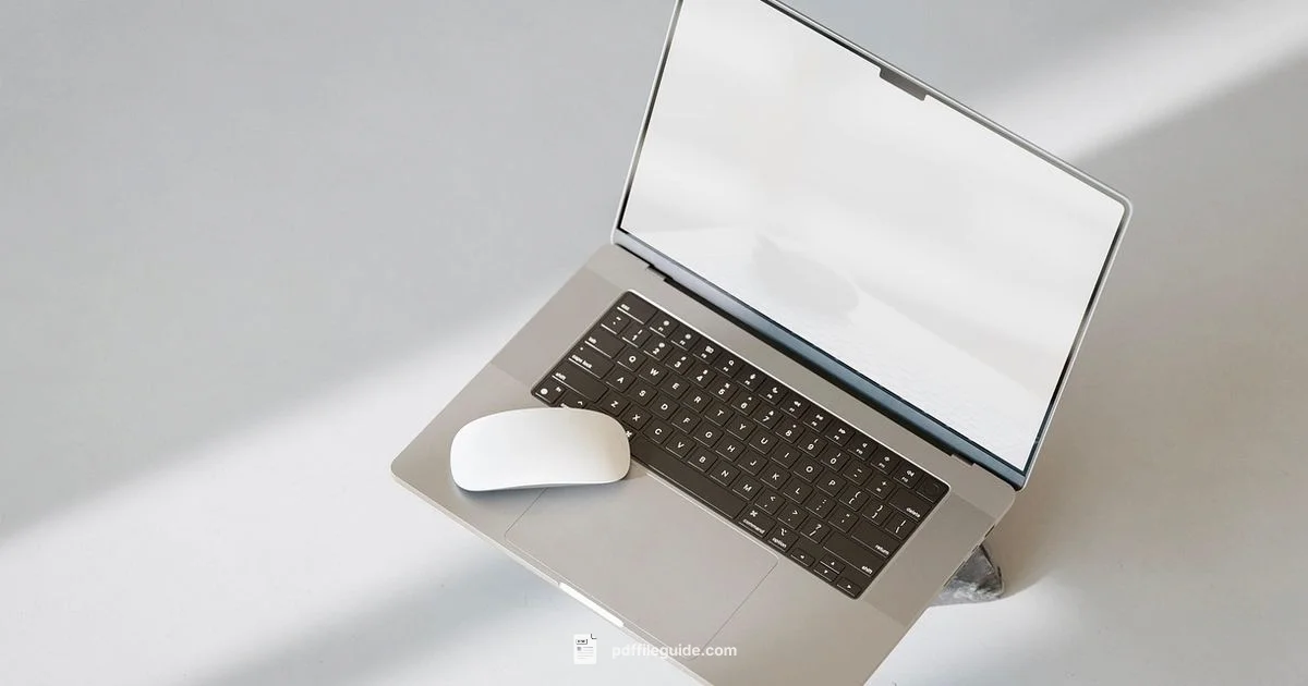 Clean PDF Image - PDF File Guide