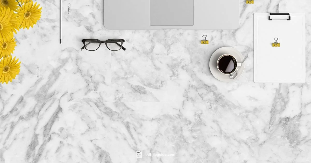 Identify PDF Creation Date - PDF File Guide