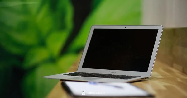 Simple PDF Mastery - PDF File Guide