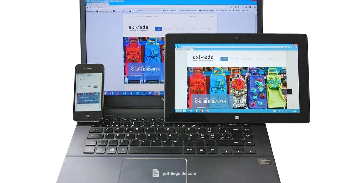 PDF Reader Essentials - PDF File Guide