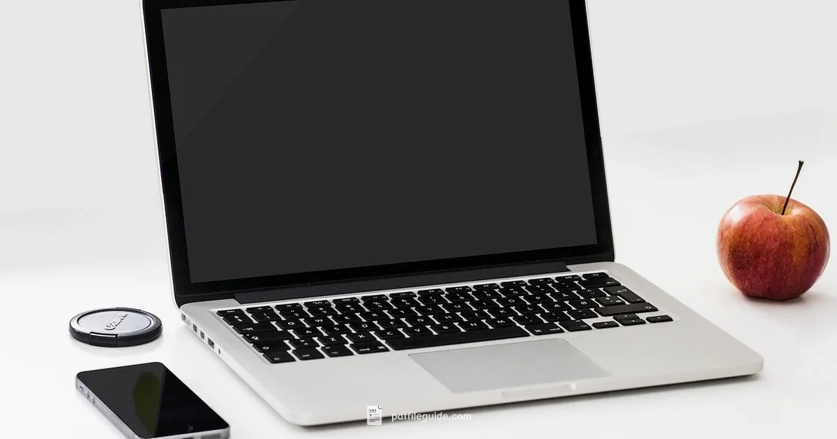 PDF to Word - PDF File Guide