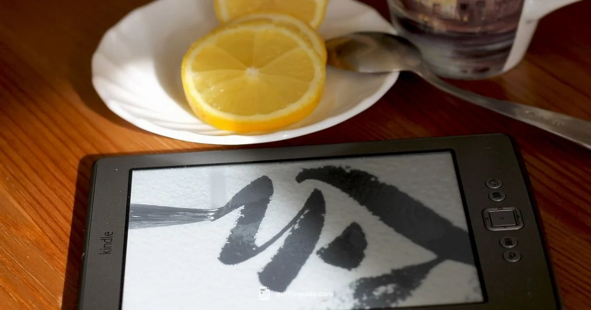 PDF on Kindle - PDF File Guide