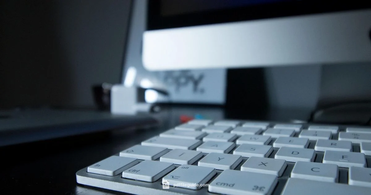 Open PDFs Easily - PDF File Guide