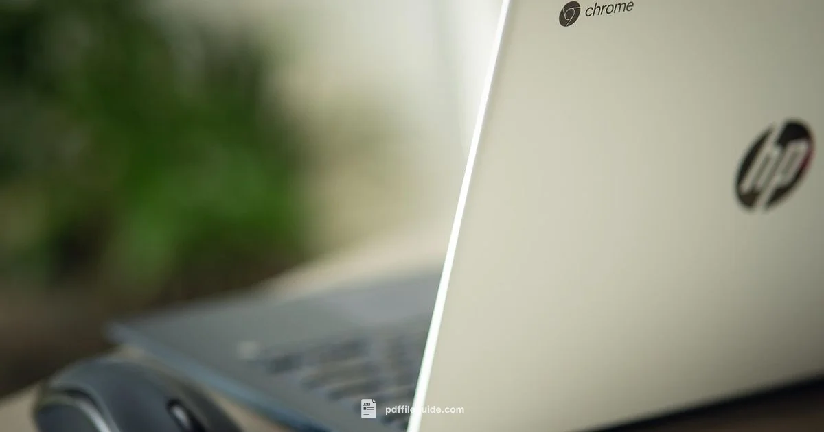 PDF on Chromebook - PDF File Guide