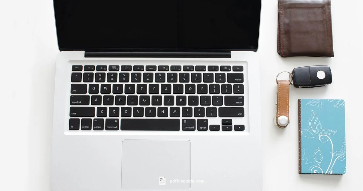 PDF to Word Free - PDF File Guide