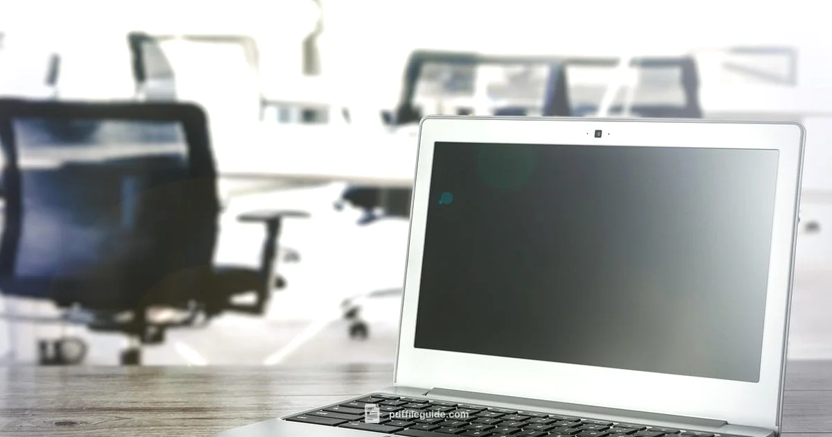 PDF OCR Converter - PDF File Guide