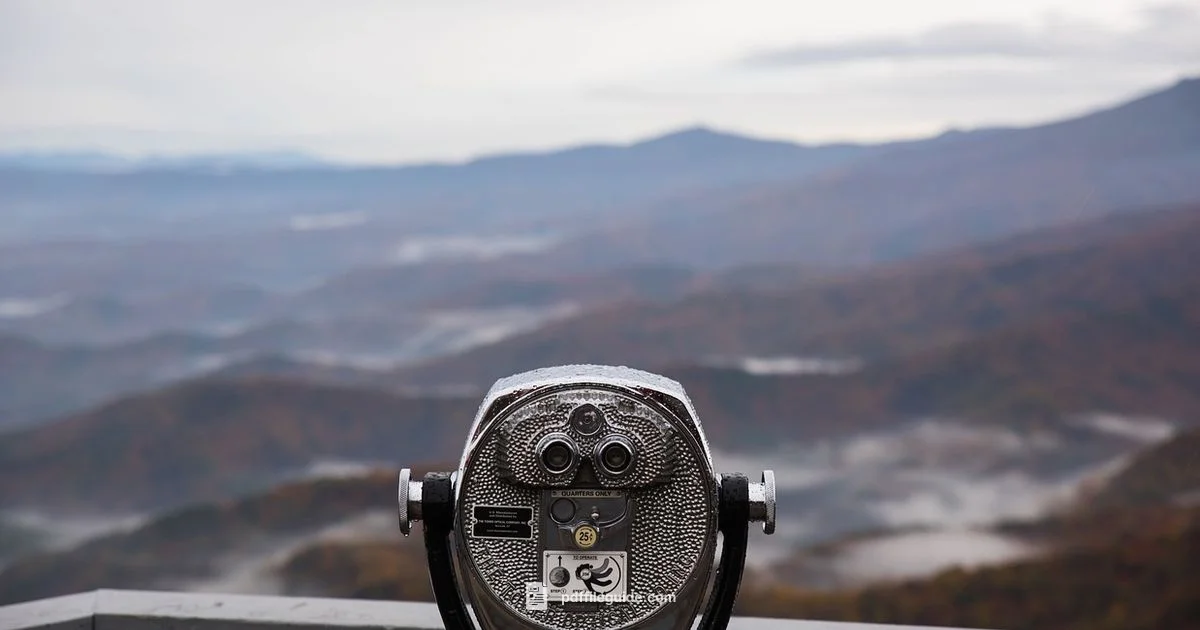 Google PDF Viewer - PDF File Guide