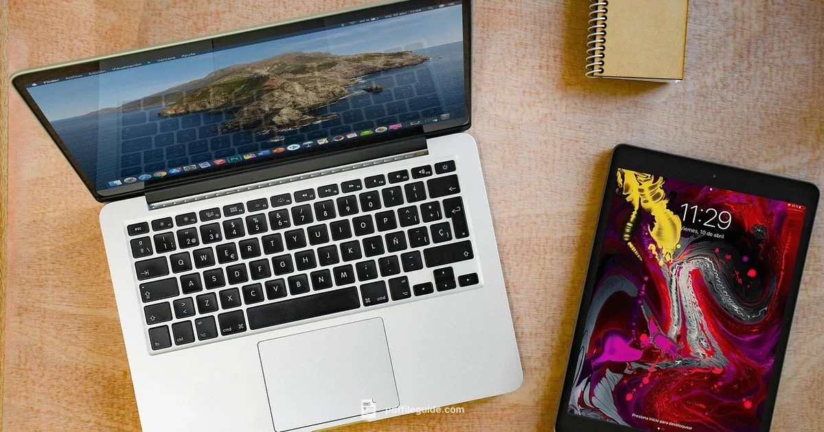 PDF on iPad mini - PDF File Guide