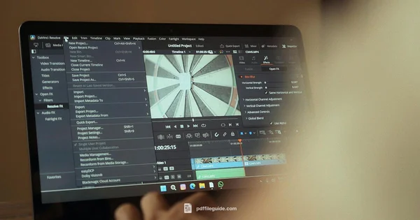 Wondering PDF Defined - PDF File Guide