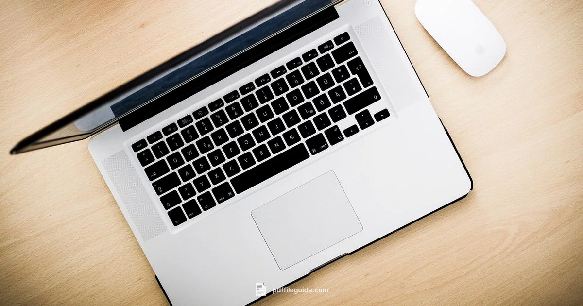 PDF to Docs Guide - PDF File Guide