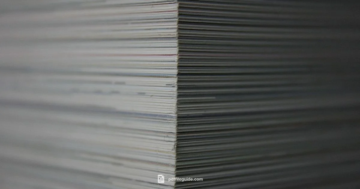 Portable Document Format Portable Document Format - PDF File Guide