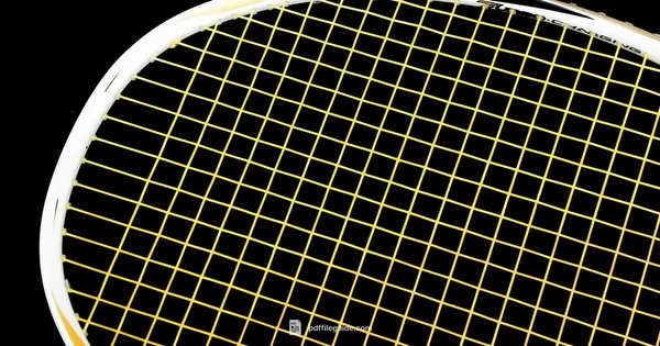 Badminton PDF Guide - PDF File Guide