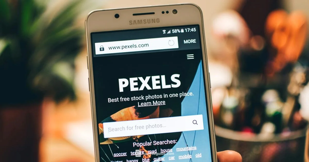 Accessing PDFs - PDF File Guide