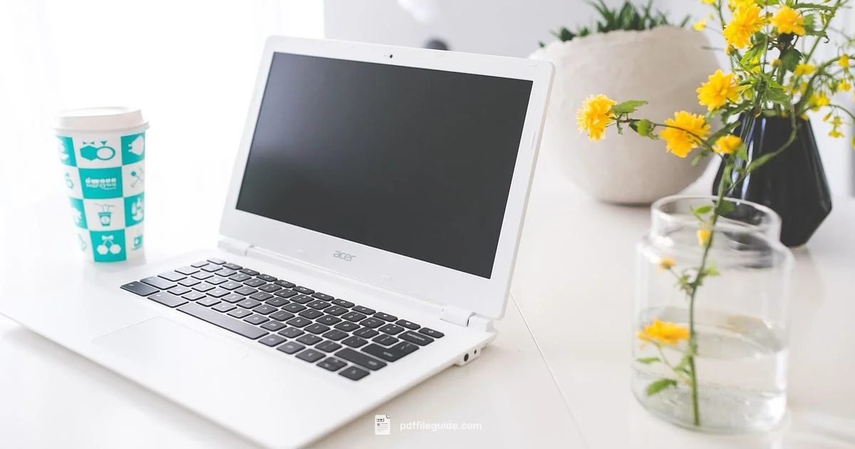 PDF on Chromebook - PDF File Guide