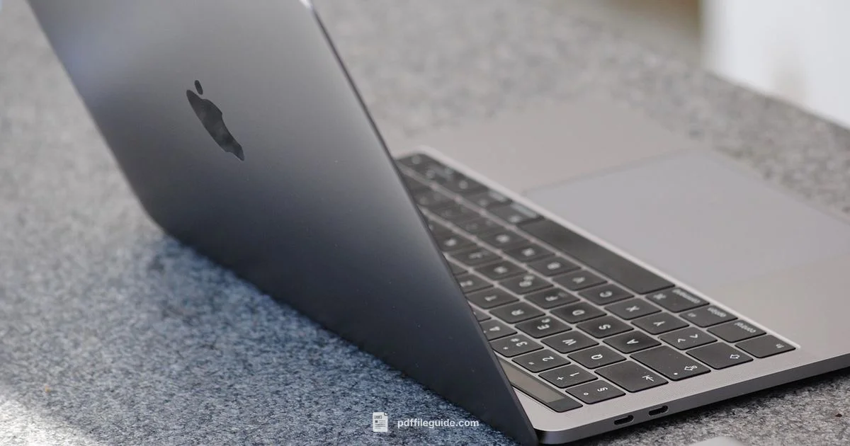 Merge PDFs on Mac Merge PDFs on Mac - PDF File Guide